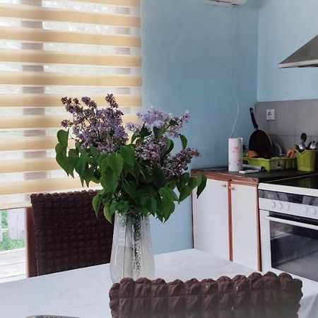 Farmhouse Studios Belgrad Dış mekan fotoğraf