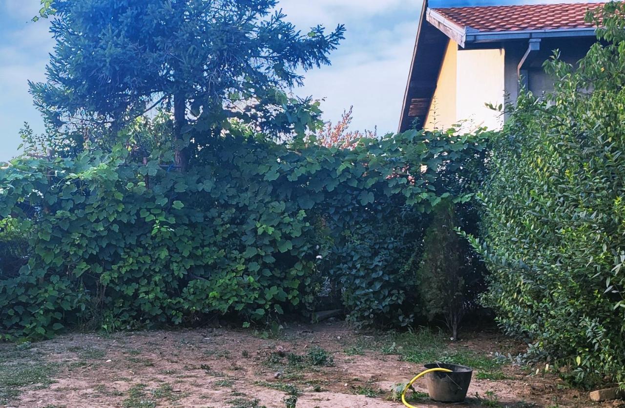 Farmhouse Studios Belgrad Dış mekan fotoğraf